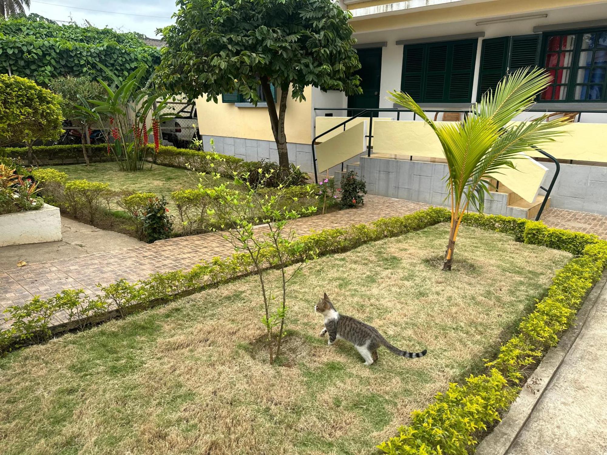 J Nova Lda Daire Sao Tome Dış mekan fotoğraf